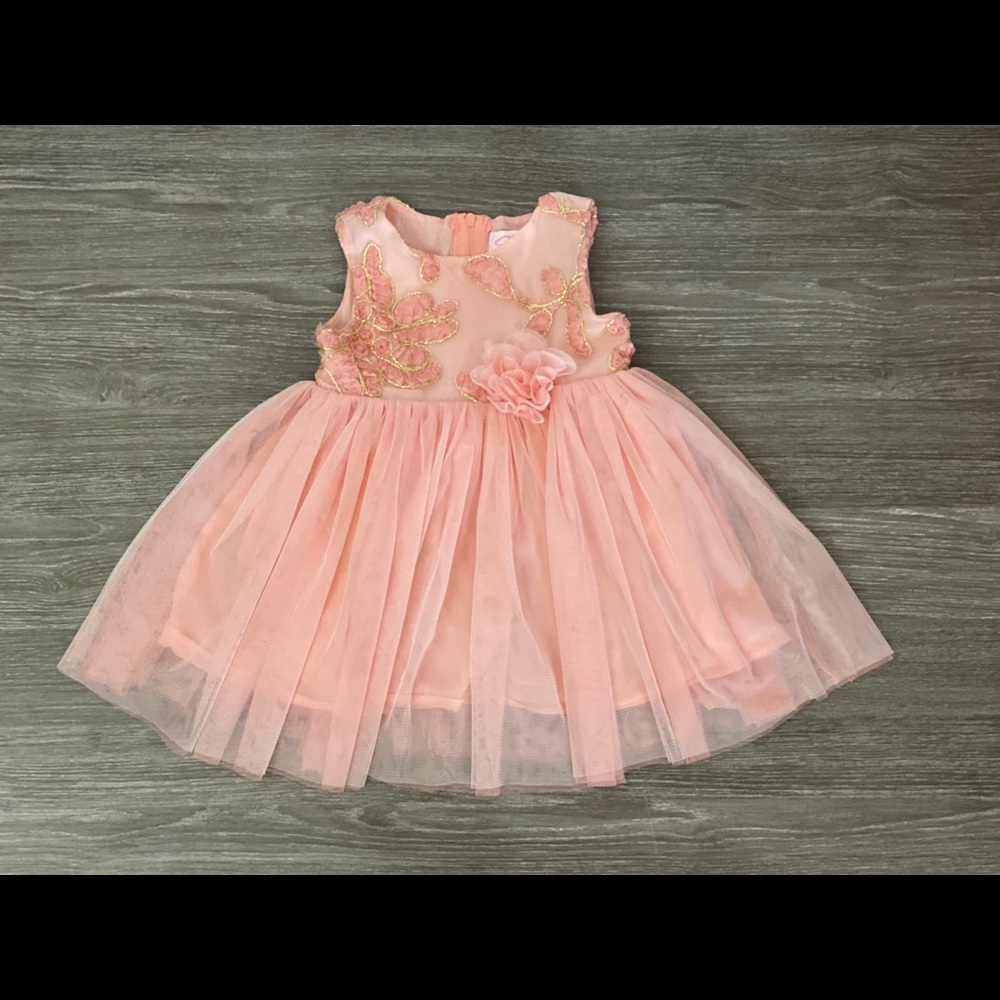 Popatu Floral Embroidered Tulle Dress